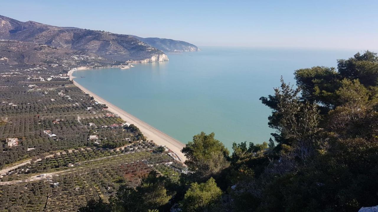 Tenuta Santa Maria Mattinata Εξωτερικό φωτογραφία