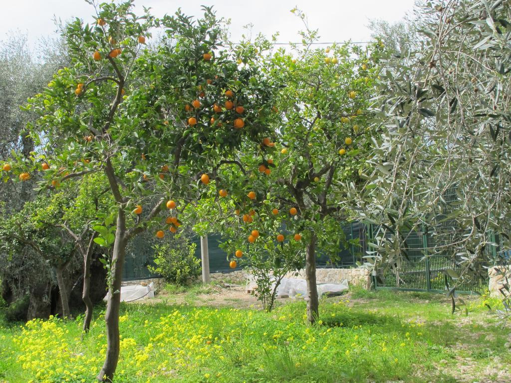 Tenuta Santa Maria Mattinata Δωμάτιο φωτογραφία