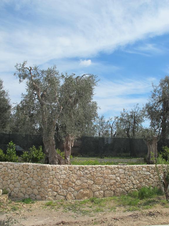 Tenuta Santa Maria Mattinata Εξωτερικό φωτογραφία