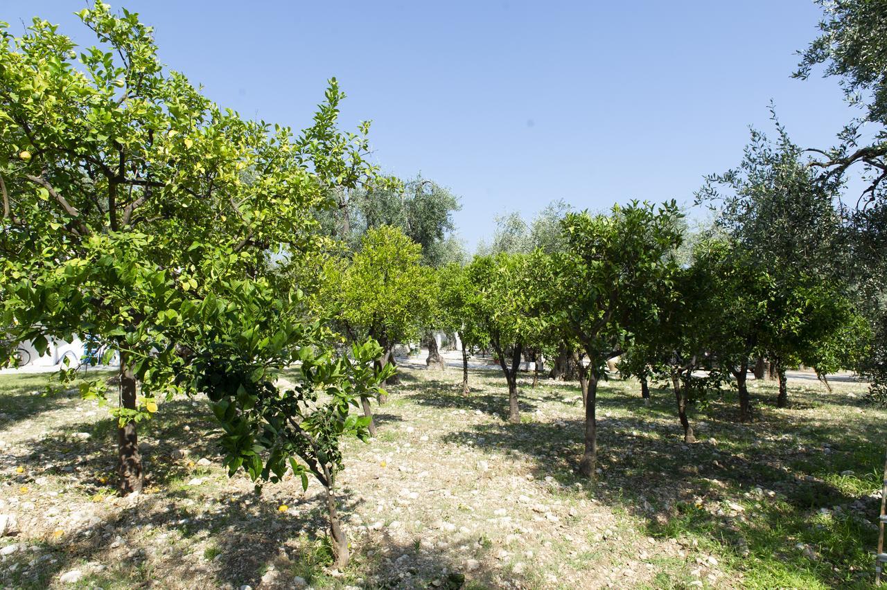 Tenuta Santa Maria Mattinata Εξωτερικό φωτογραφία